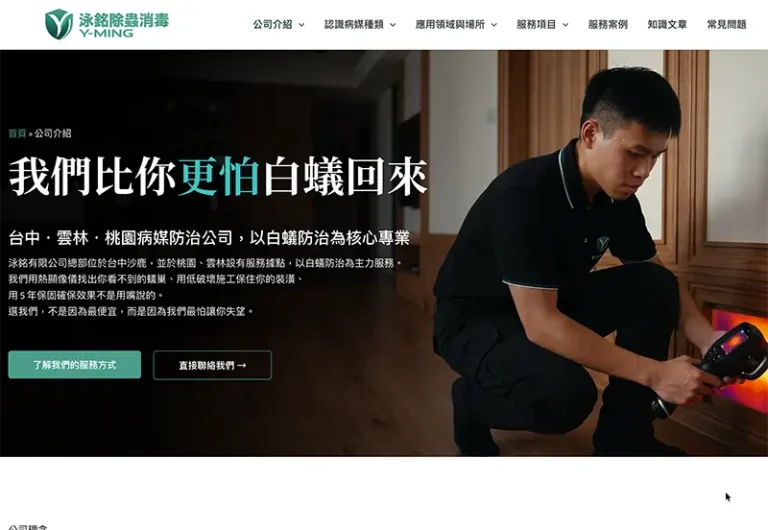 網站實際畫面 2
